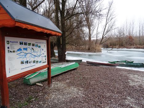 Befagyott a Kisvesszősi- ág a Szigetközi hullámtéri vízpótlórendszerben, Kisbodak 2017. január 14.-én