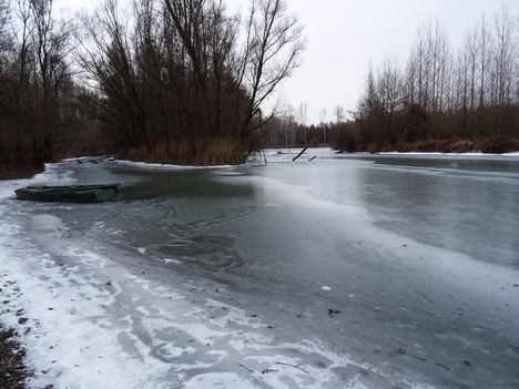 Befagyott a Kisvesszősi- ág a Szigetközi hullámtéri vízpótlórendszerben, Kisbodak 2017. január 14.-én  5