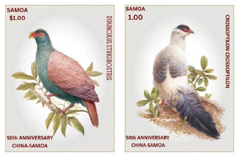 Diplomáciai kapcsolat