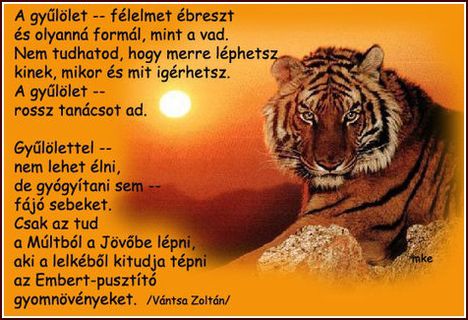 Gyűlőlettel
