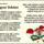 Magyar_fohasz_2020266_1366_t