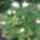Mar_kinyilt__2002421_7628_t