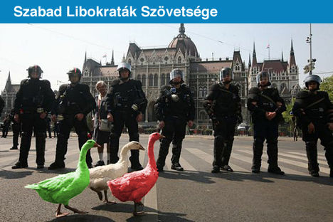 NEKIK SIKERŰLT AZ ŐSSZEFOGÁS!
