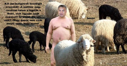 Orbán Viktor birka szex