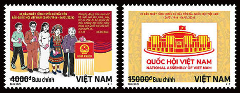 Parlamenti választás