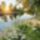 Stendhal_mi_nem_hirdetjuk_2002888_3492_t