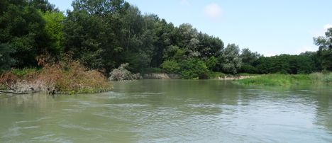 Szigeti Duna felső szakasz, Dunakiliti. 2016 július 13.-án  1