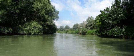 Szigeti Duna felső szakasz, Dunakiliti. 2016 július 13.-án  4