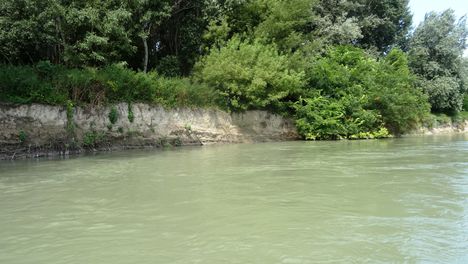 Szigeti Duna felső szakasz, Dunakiliti. 2016 július 13.-án  5