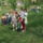 Turan_az_iskolasok_14_202873_17611_t