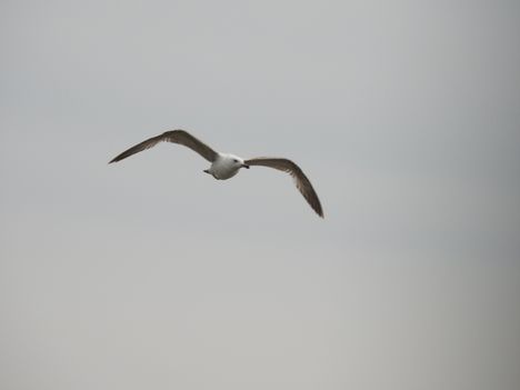 20170501_47