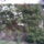 Rozsak_a_teraszon_232565_71339_t