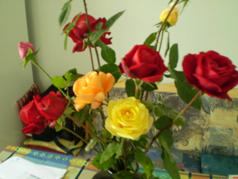 saját rózsáim