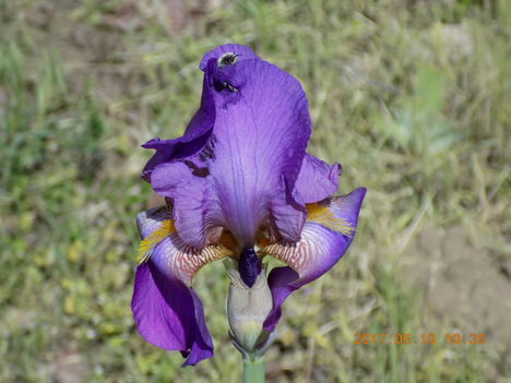 039