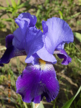 050