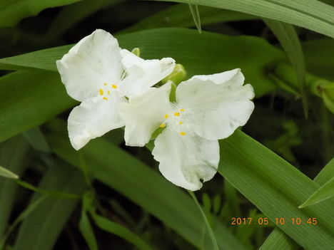058