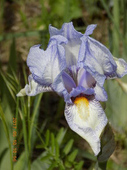 072