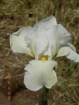 073