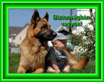 Biztonságban!