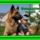 Biztonsagban_2033968_9249_t