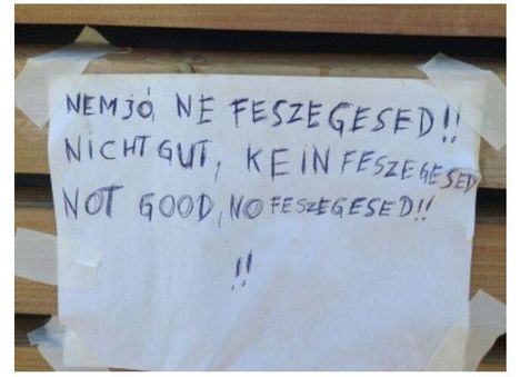 Ne!