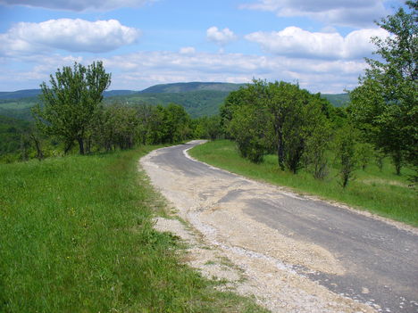 P1180888