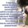 Regi_de_jo_2033947_7113_t