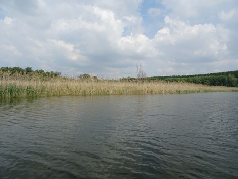 Ásványráró, az Öntés-tó, 2017. május 15.-én 12