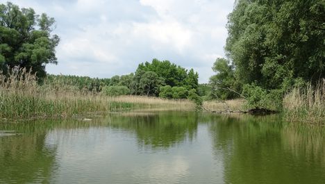 Ásványráró, az Öntés-tó, 2017. május 15.-én 9