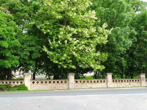 Héderváry kastély kerítése, és kertje, Hédervár 2017. május 15.-én