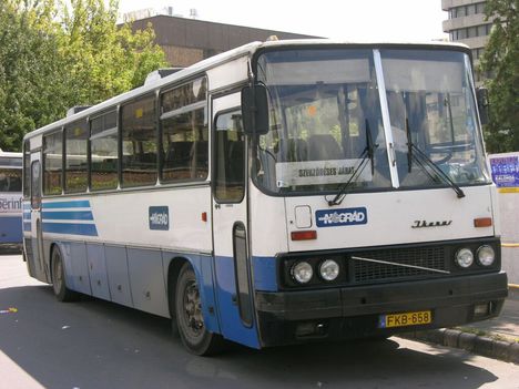 ikarus 256 nógrád