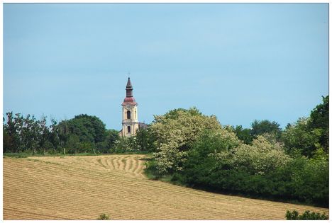 Természet, szépséges kincsei. 8