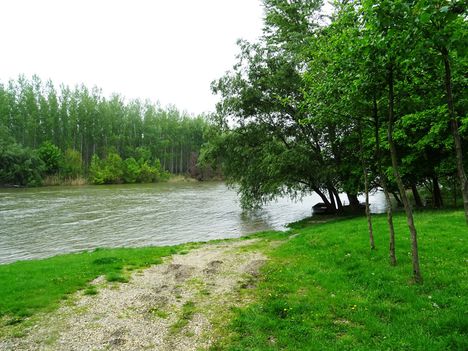 Kormosi Duna-ág, Dunasziget, az ún. Halász placc 2017. május 05.-én