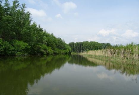 Pókmacskási tó, Ásványráró 2017. május 15.-én 13