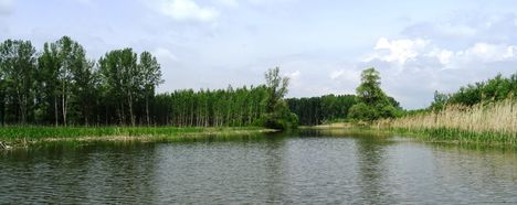 Pókmacskási tó, Ásványráró 2017. május 15.-én 17
