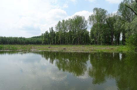 Pókmacskási tó, Ásványráró 2017. május 15.-én 20