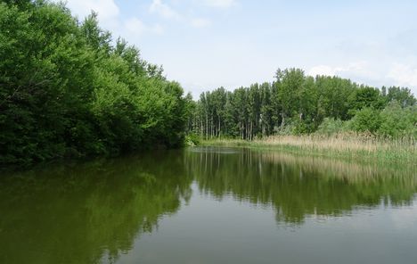 Pókmacskási tó, Ásványráró 2017. május 15.-én 25