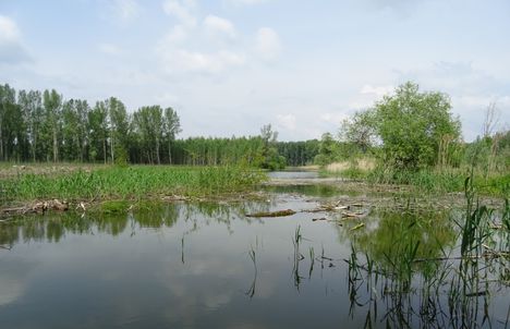 Pókmacskási tó, Ásványráró 2017. május 15.-én 5
