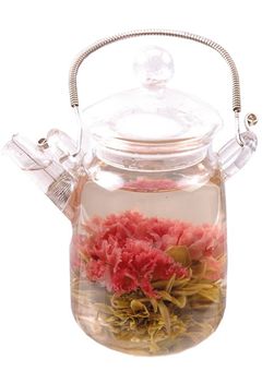 Virágzó tea: Pünkösdi rózsa