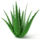 Aloevera_2037183_5430_t