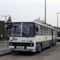 ikarus 280 salgótarján