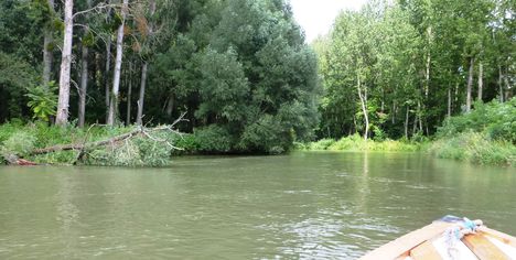 A Mosoni-Duna folyó a Kálnokszegi dülő melletti szakaszon, Máriakálnok 2017. július 25 .-én 1