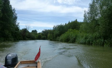A Mosoni-Duna folyó a Kálnokszegi dülő melletti szakaszon, Máriakálnok 2017. július 25 .-én 3