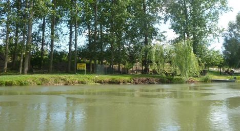 A Mosoni-Duna folyó Magyarkimle melletti szakaszon, Kimle 2017. július 26.-án 2