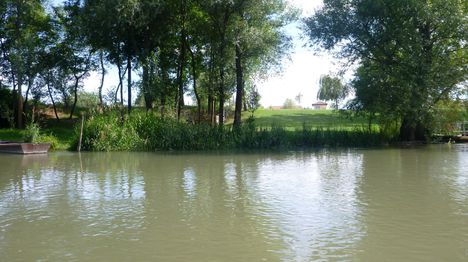 A Mosoni-Duna folyó Magyarkimle melletti szakaszon, Kimle 2017. július 26.-án 3