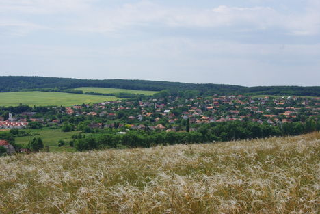 Mogyorós-hegy és Litér házai