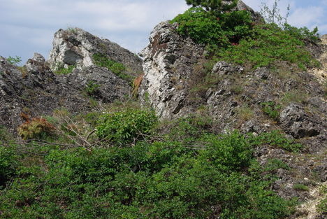 Mogyorós-hegy sziklái