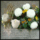 Adjon_az_ur_orok_nyugodalmat_nekik_es_az_orok_viragossag_fenyeskedjek_nekik_amen_2042427_4284_t
