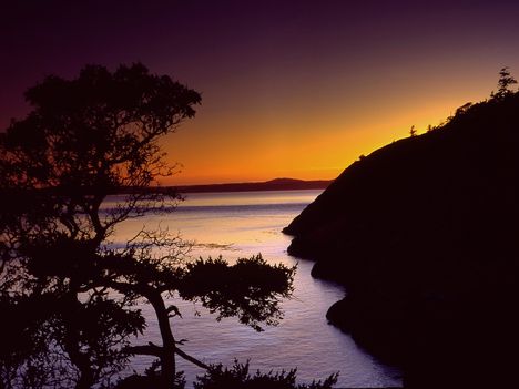 Anacortes,_Fidalgo_Island,_Washington