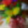 Img_20170525_143209_2042781_8884_t